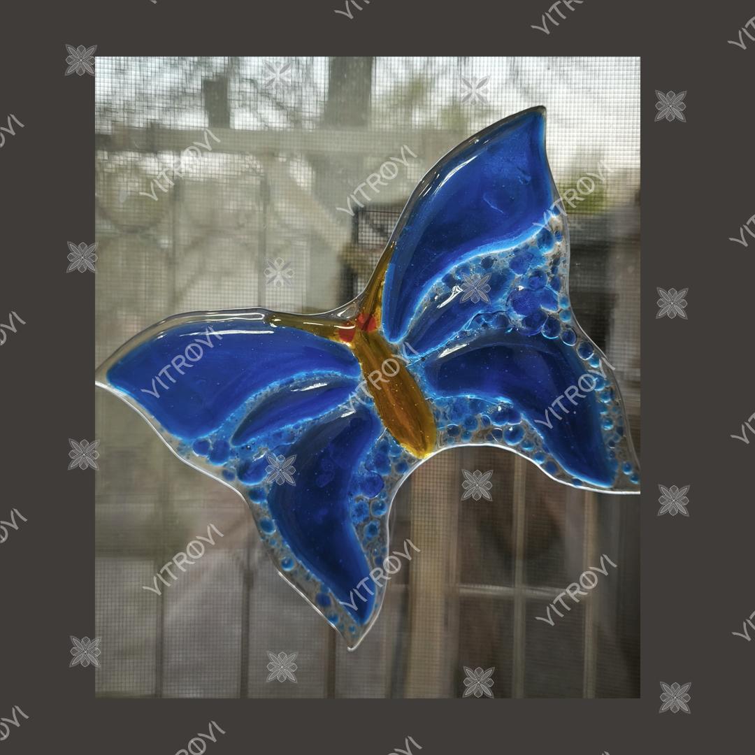 Dark Blue butterfly