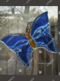 Dark Blue butterfly